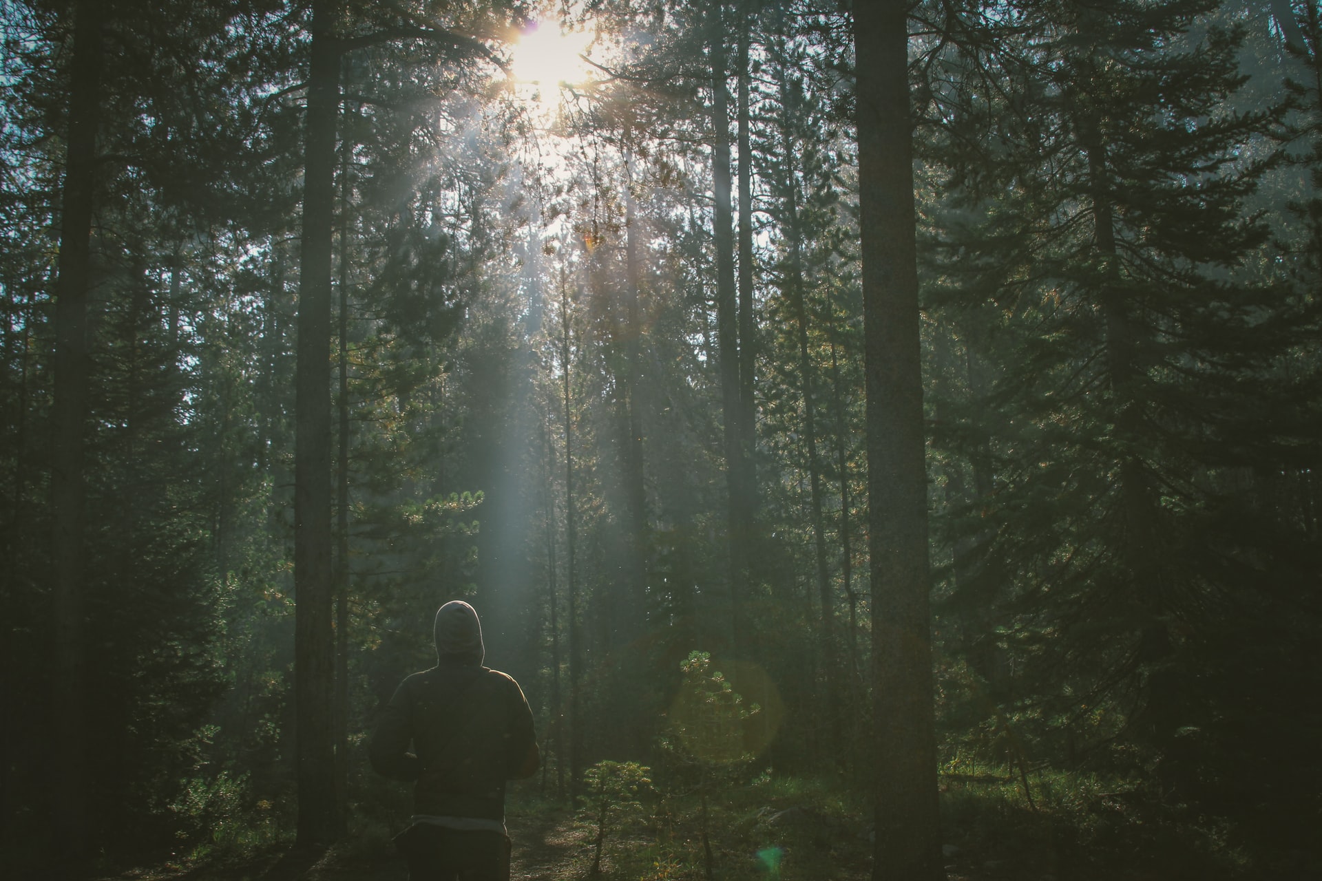 dustin-scarpitti-eWBseWsTEpA-unsplash