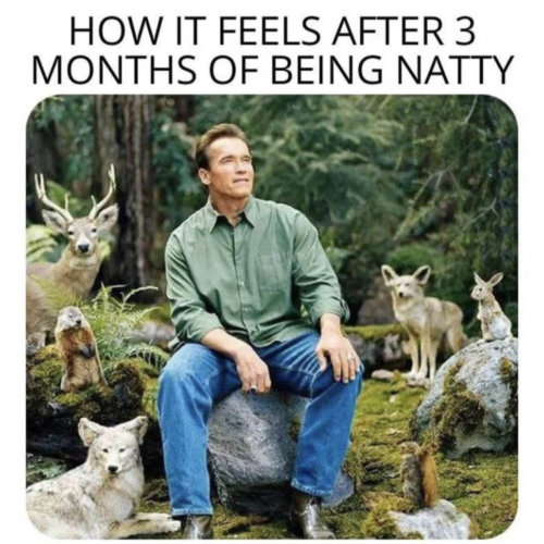 arnold natty meme arnold natty meme